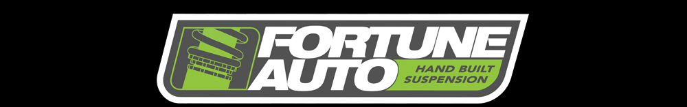 Buy Fortune Auto Parts at STM