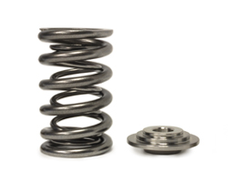 Shop for Evolution 7 8 9 Springs and Retainers
